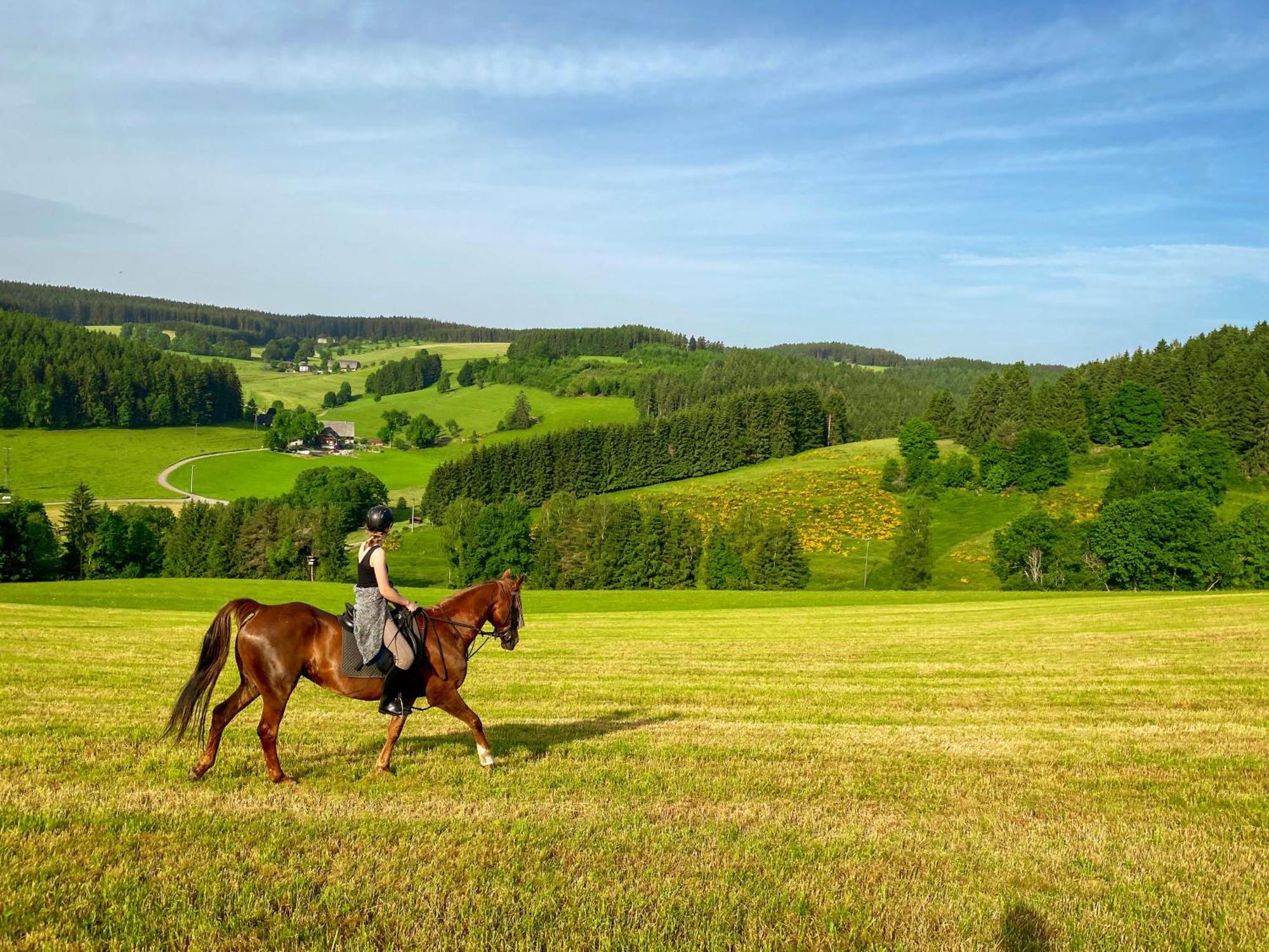 Ferienhof Gerda Sankt Georgen im Schwarzwald Kültér fotó